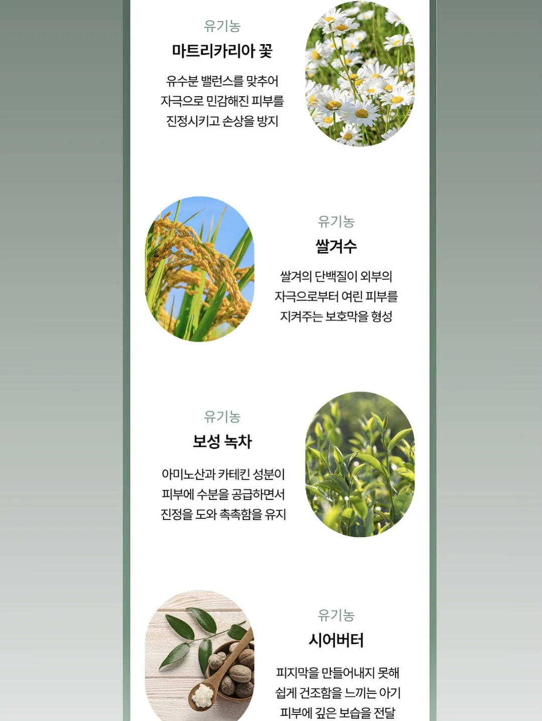 크로켓앤존스 블랙 웨스트번 6