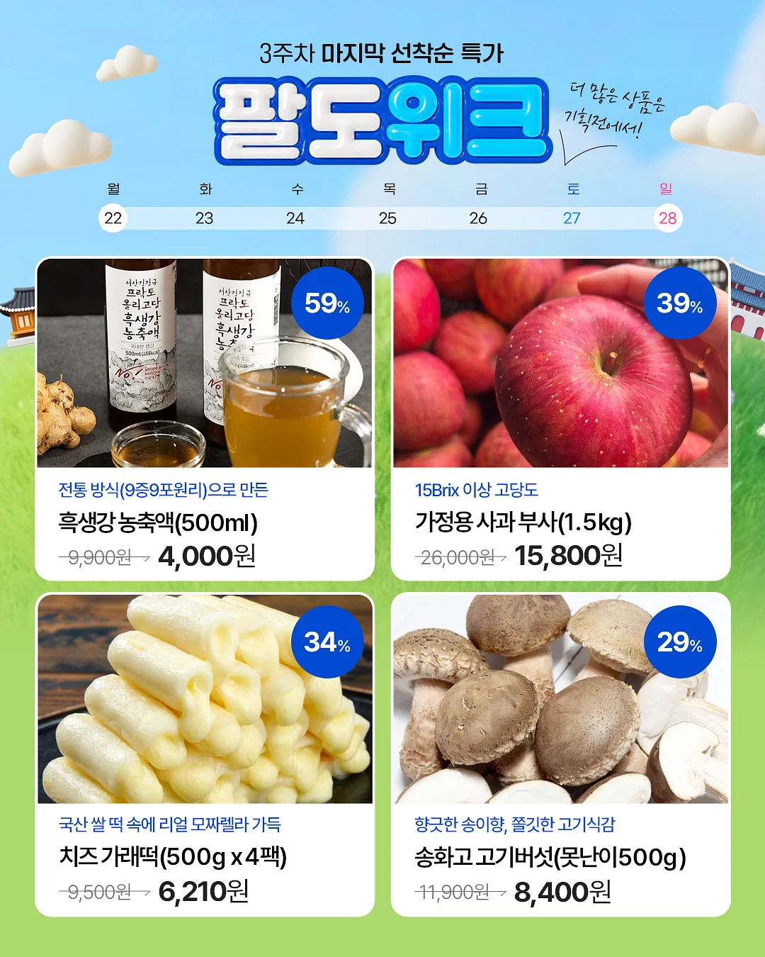 루덴시아 입장 티켓