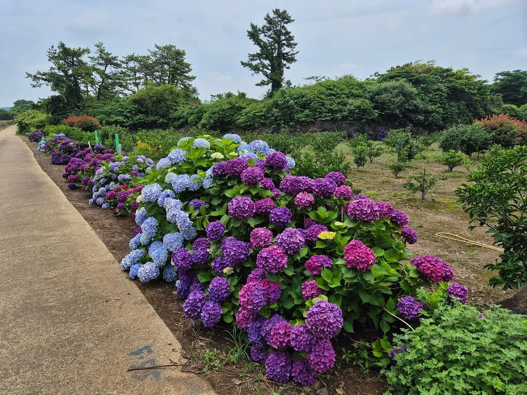 쿨링 볼레로 15