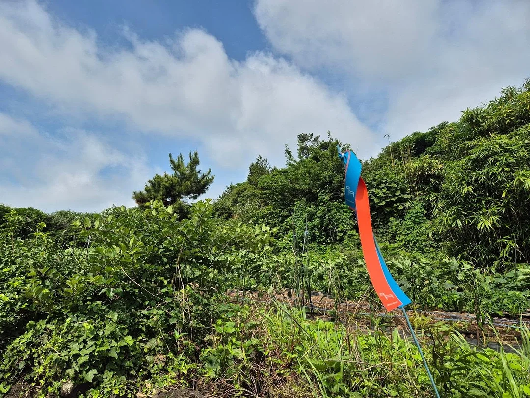 쿨링 볼레로 6