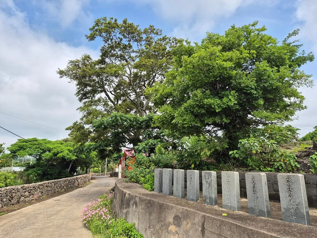 쿨링 볼레로 8