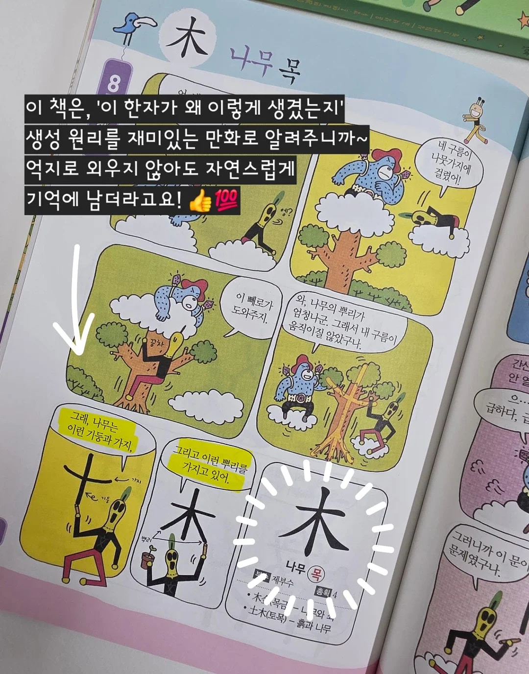누릉지, 제주총각무 6