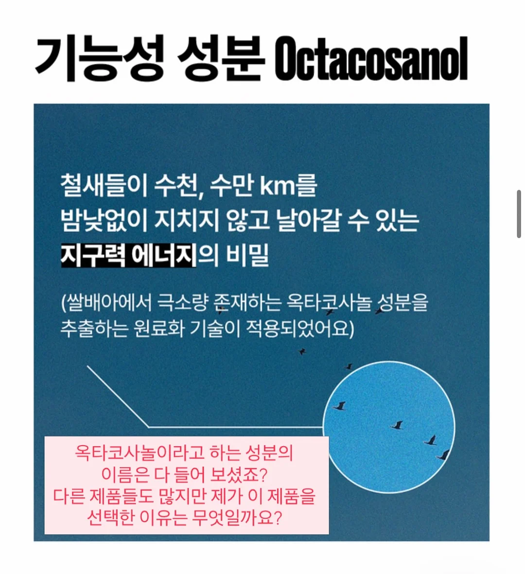 남자 복이 없는 사주 7