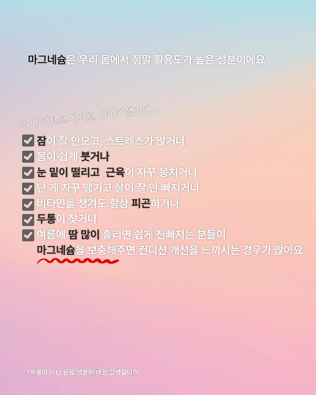 시루애 콩나물 2