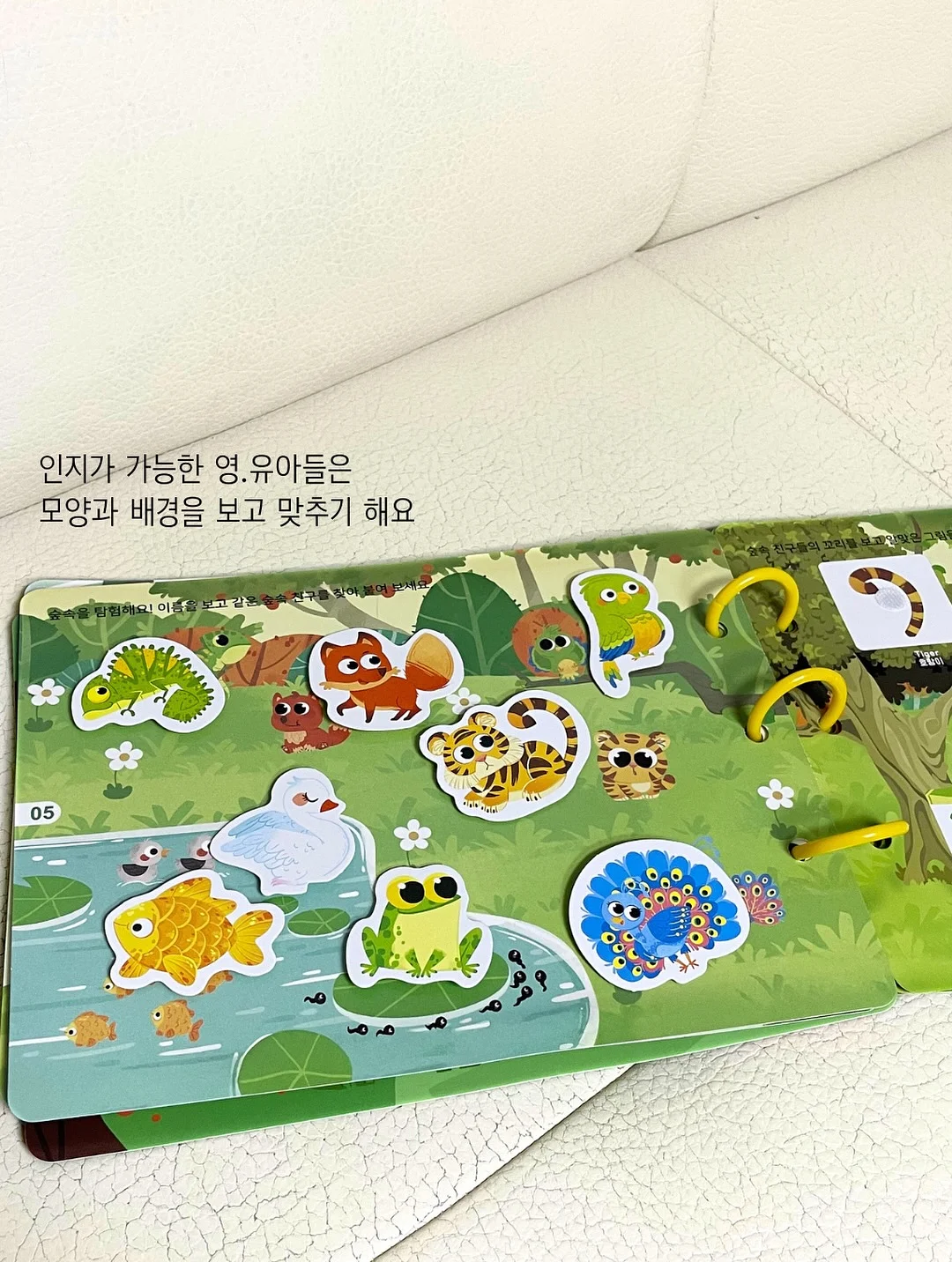 헤이데이무드 테리 모달 로브 6