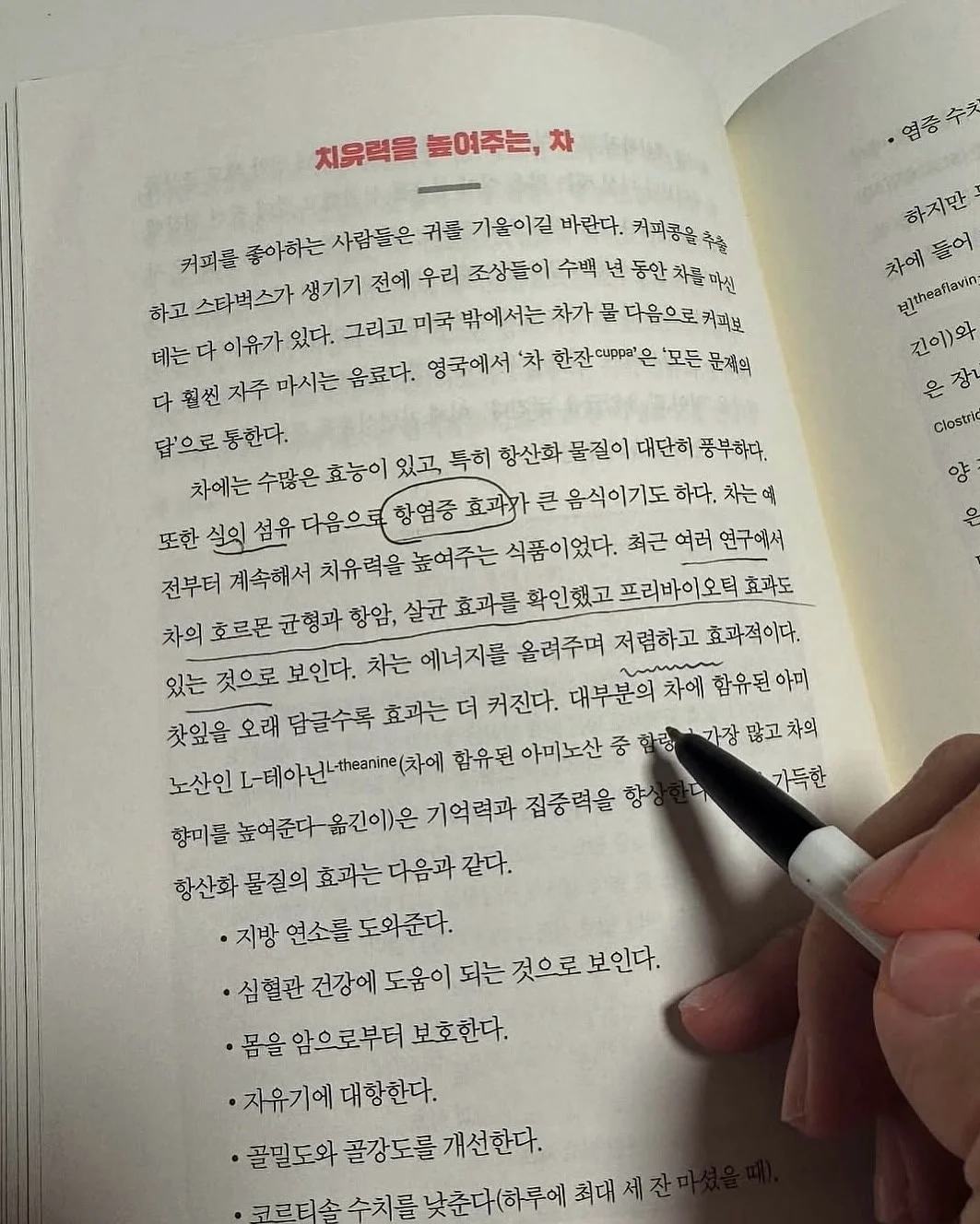펜탁스 옵티오 w10 8