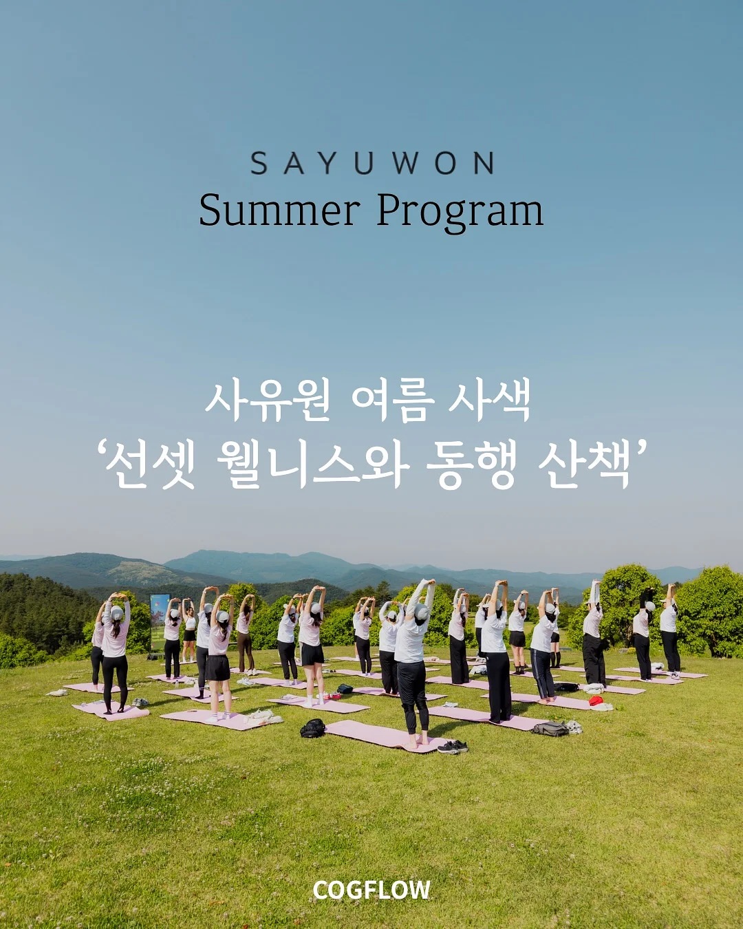 스완두 찰리 메쉬 주니어 카시트 1