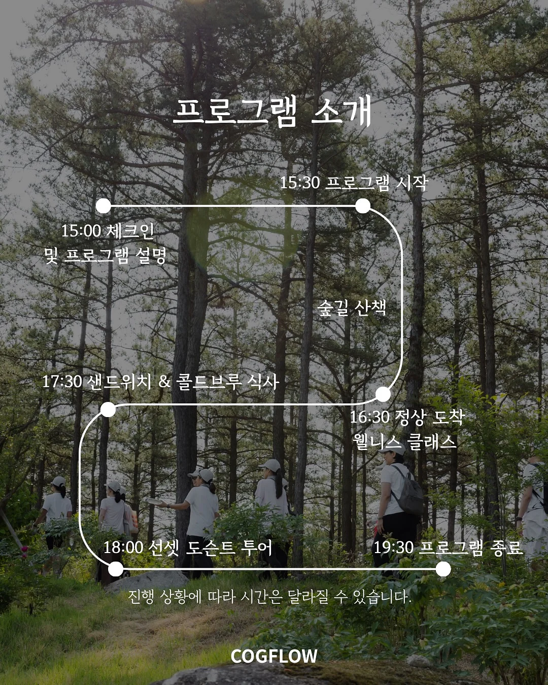 스완두 찰리 메쉬 주니어 카시트 2