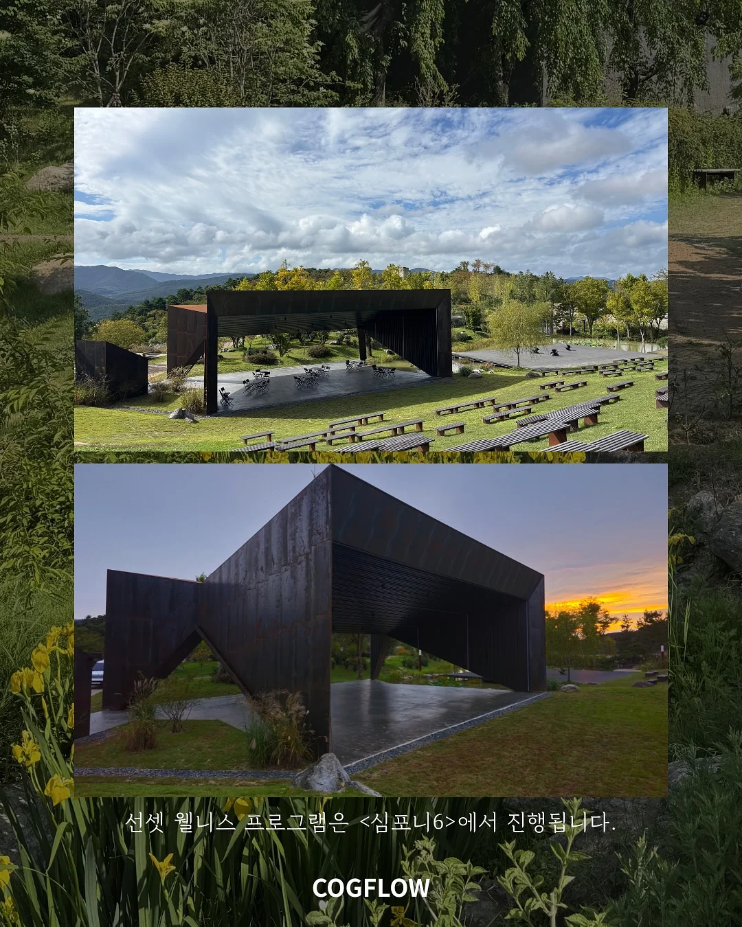 스완두 찰리 메쉬 주니어 카시트 3