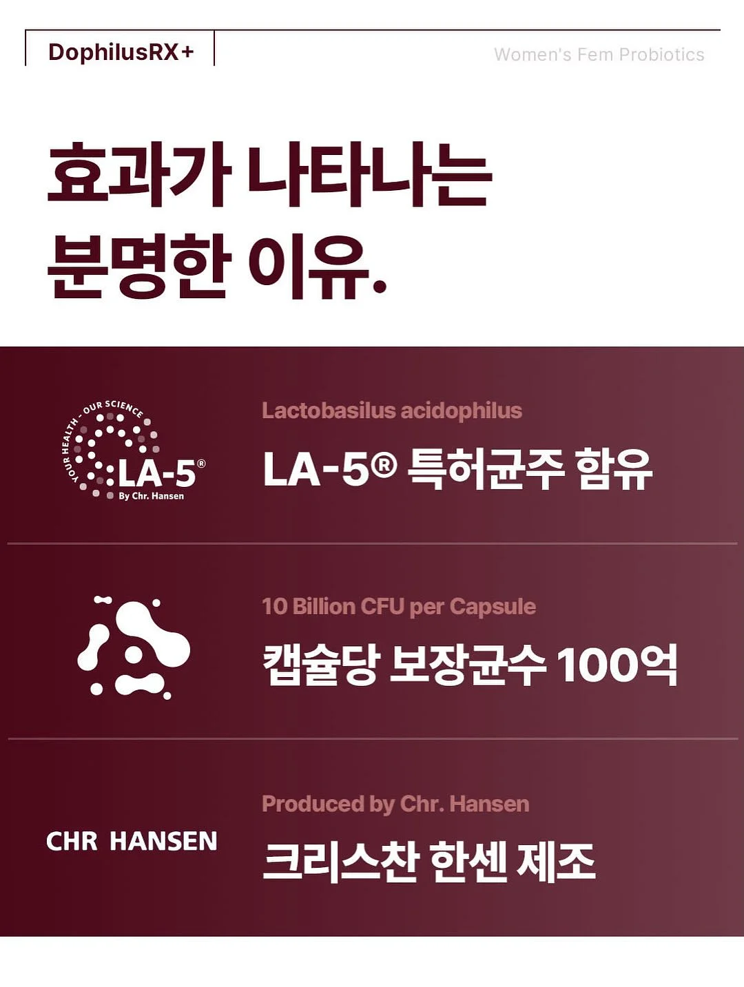 장씨네 조선장어 풀세트 9