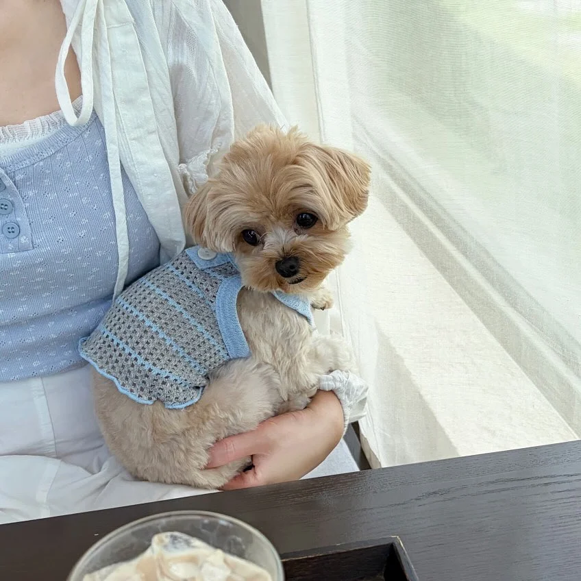 런드리유 바디 글러브 7