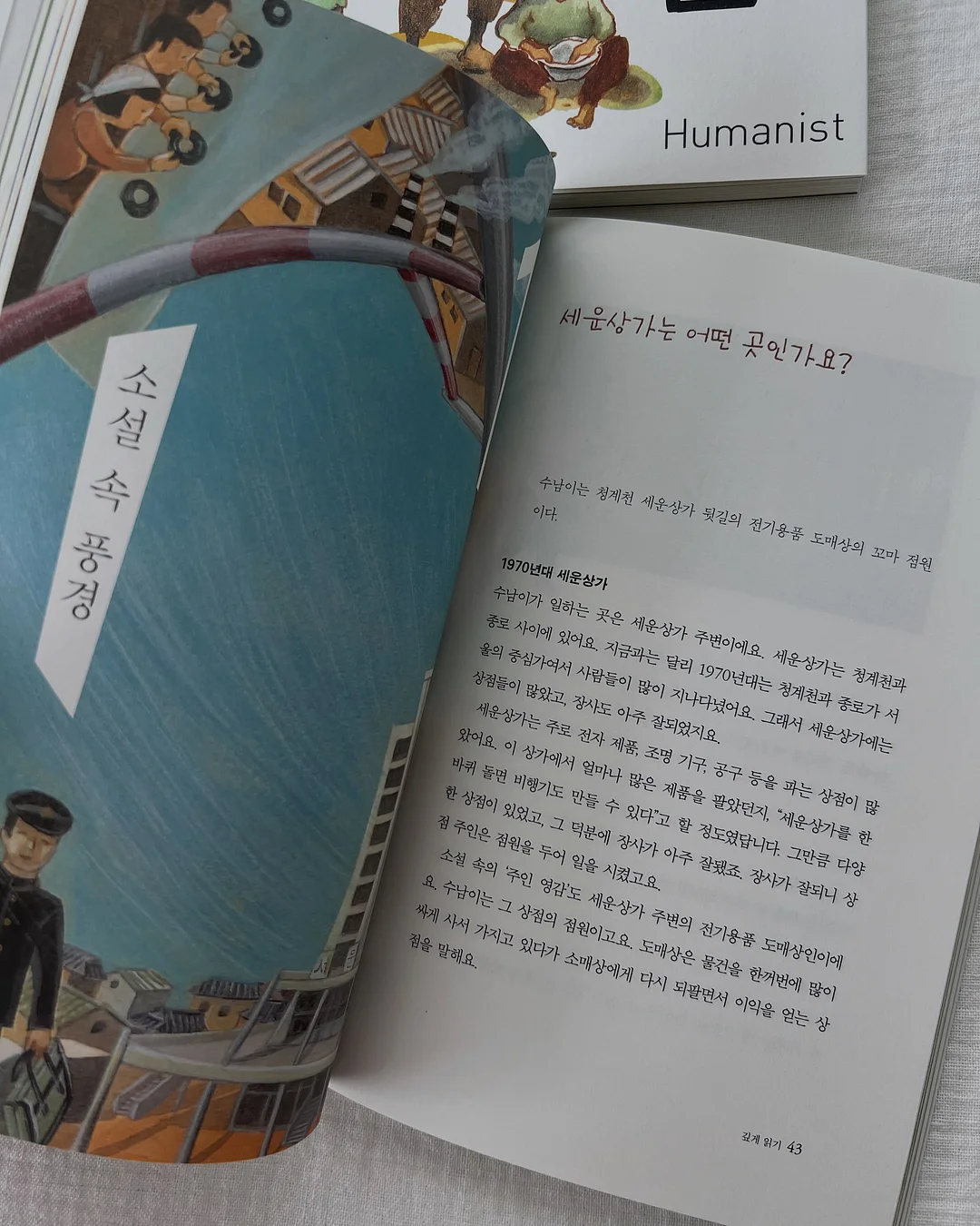 제주 백조기 7