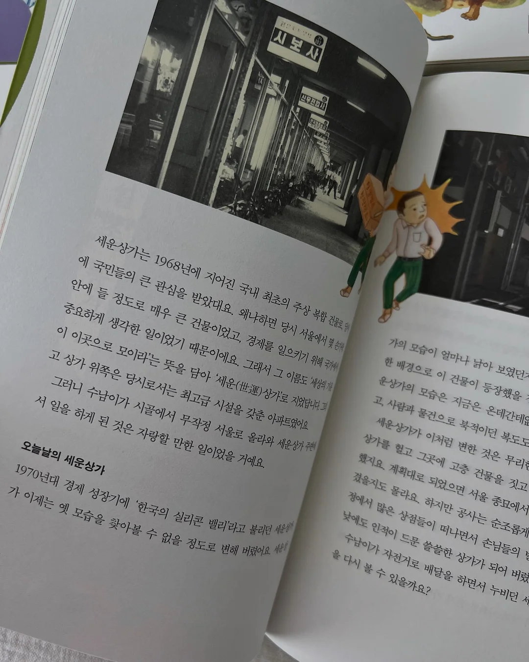 제주 백조기 8