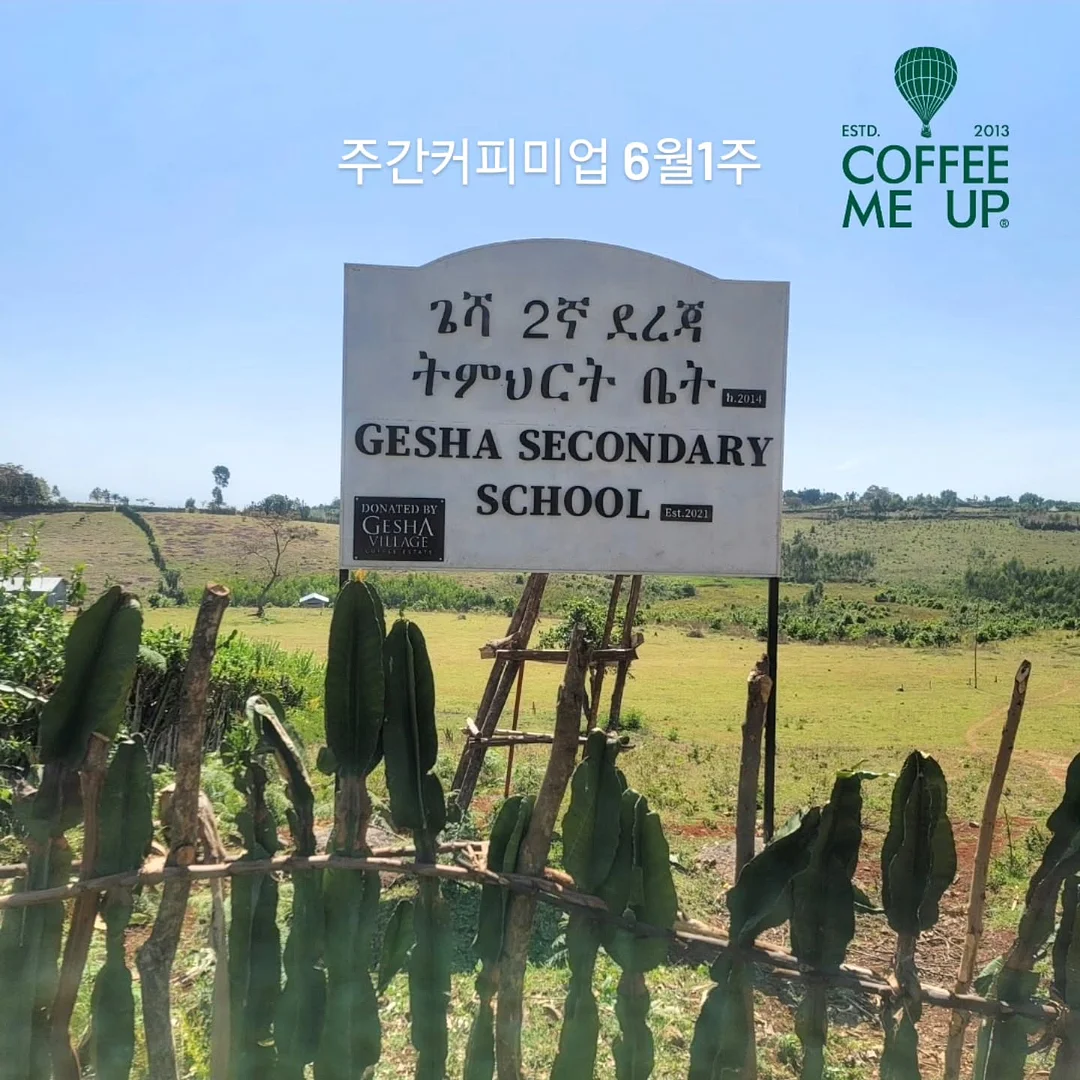 이달의아트