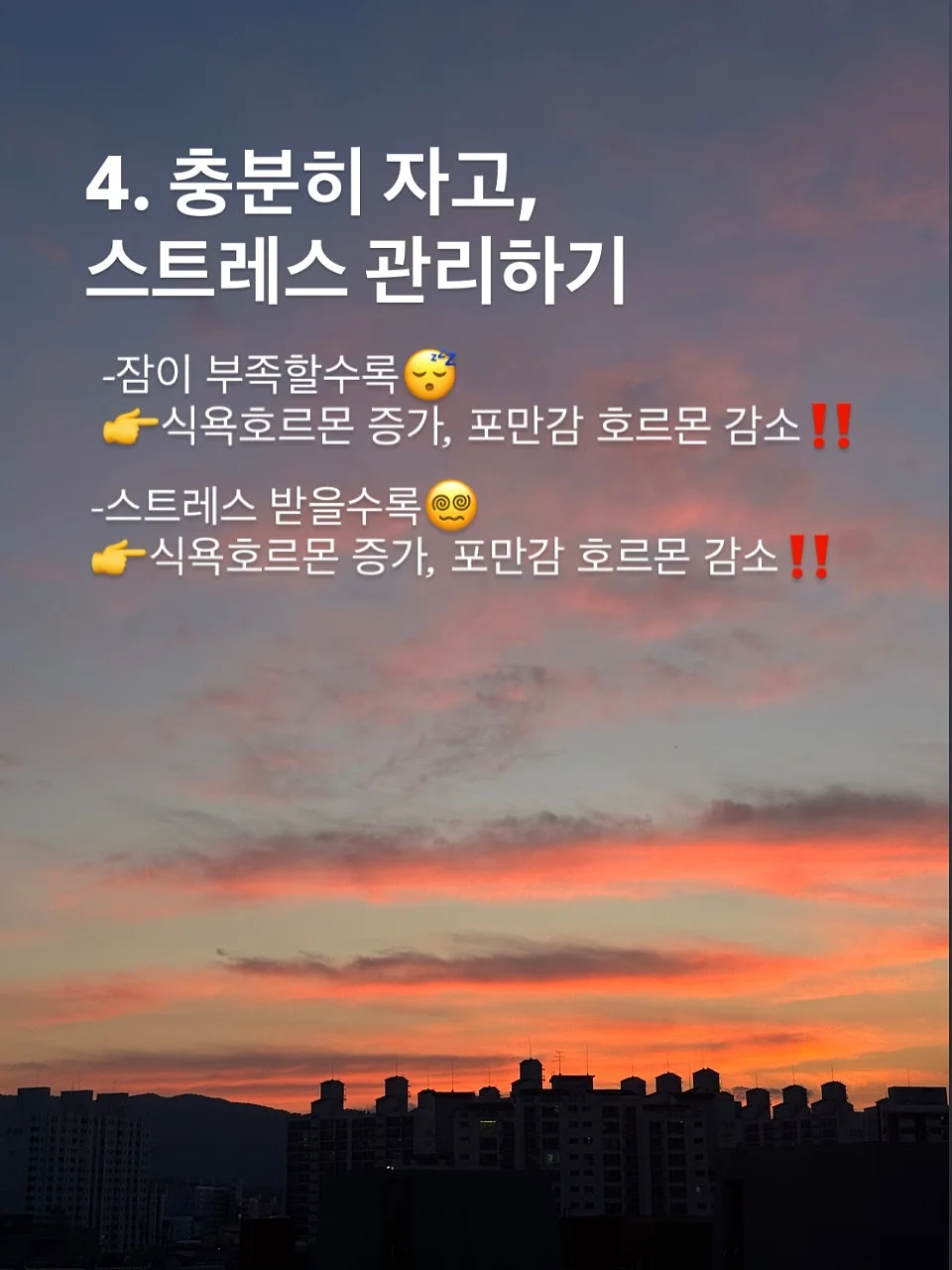 커튼 6