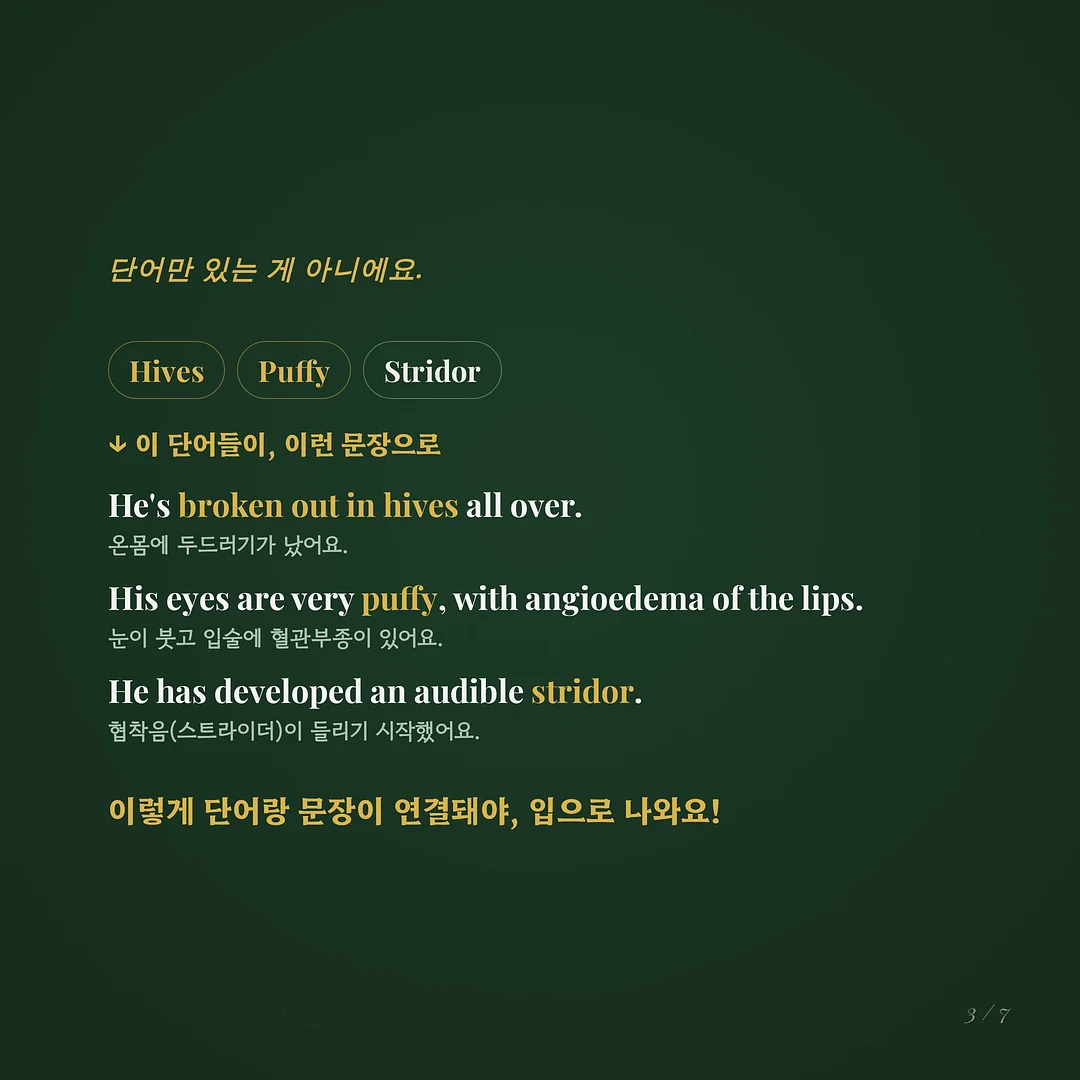 키츠네 더블폭스 가디건 3