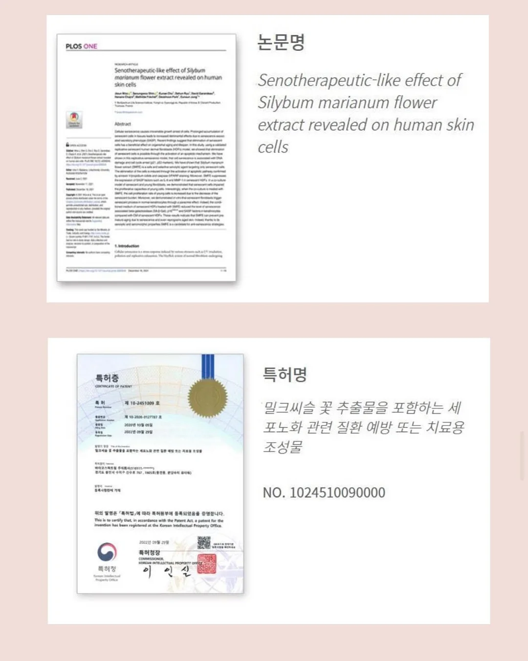 라브리에 징크 무기자차 선로션 20