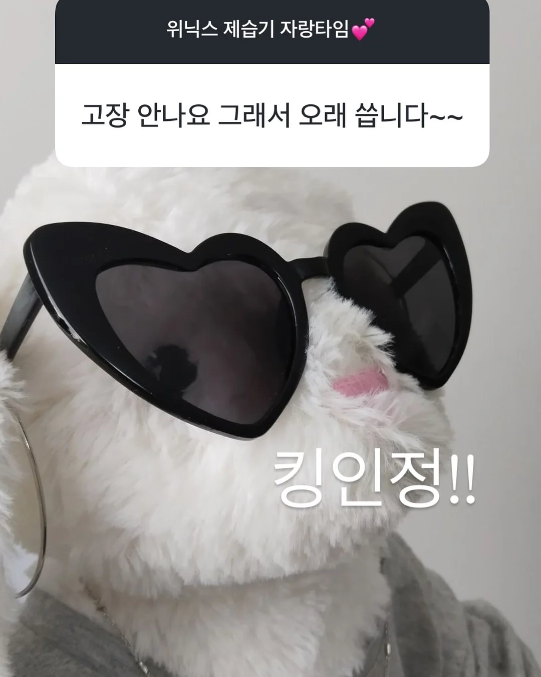 셔링 로퍼 14