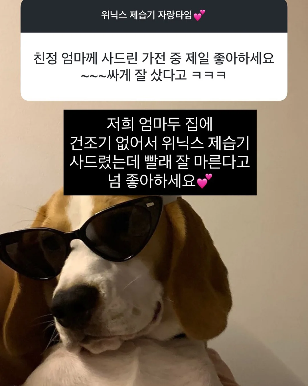 셔링 로퍼 16