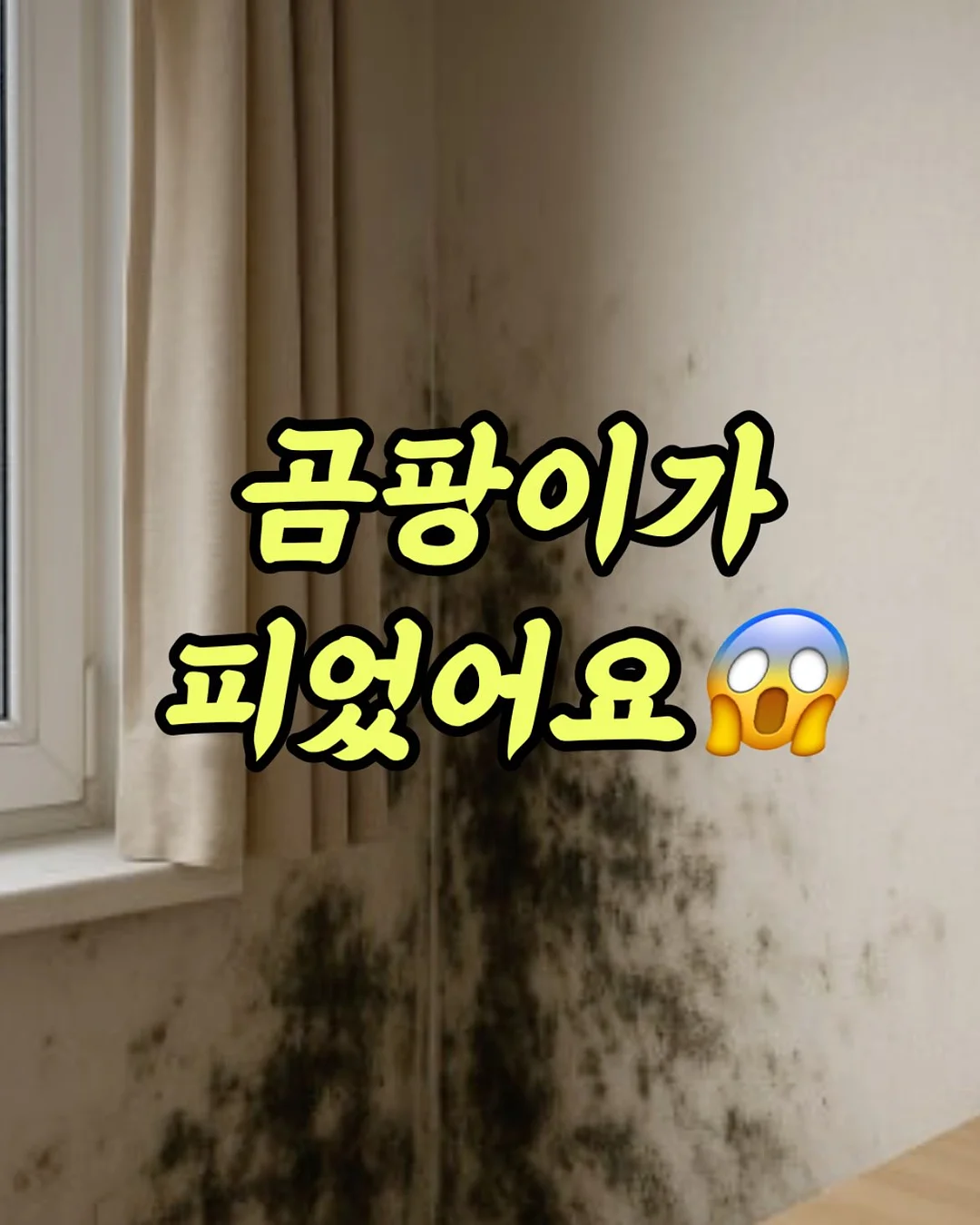 셔링 로퍼 2