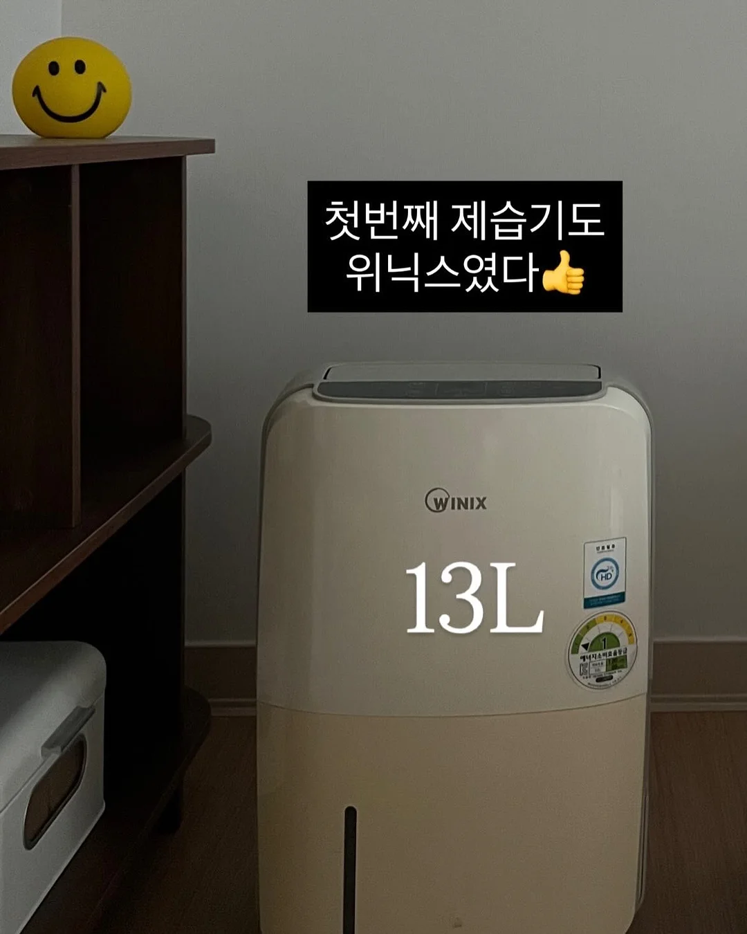 셔링 로퍼 6