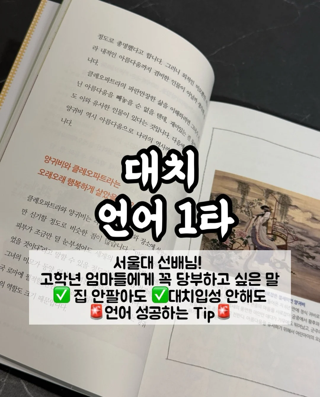 베베드피노 1