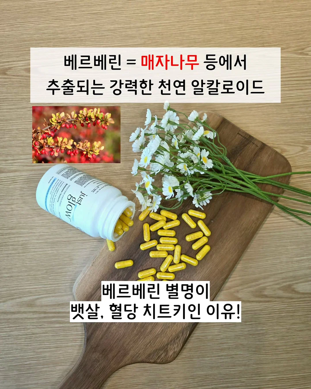 카레 5