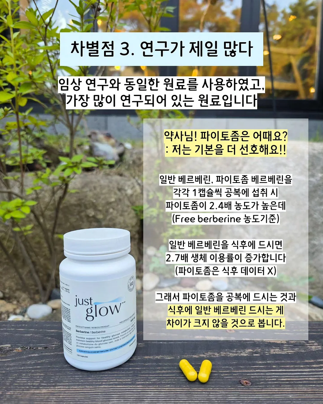 카레 9