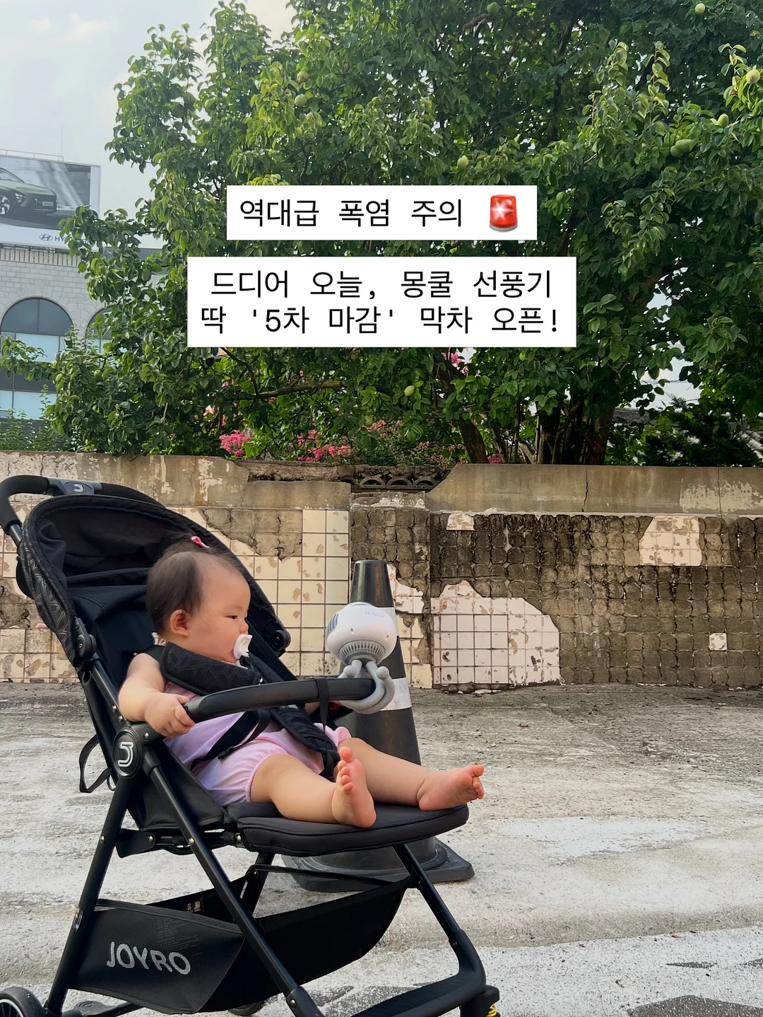 타오 어덜트 사이즈 상의/하의 2