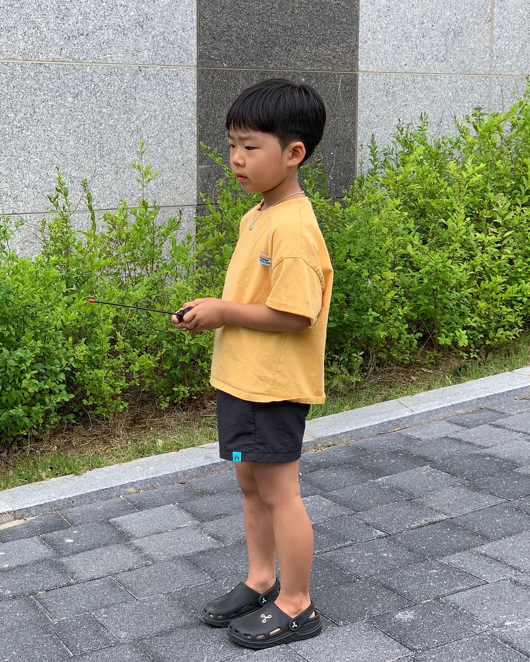 틴베이크 파운드 12