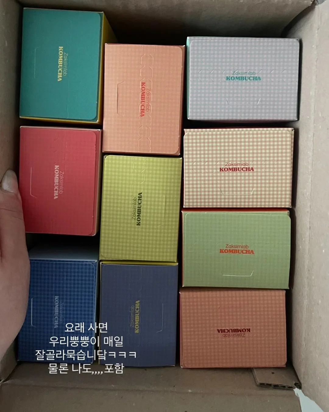 LAP 문해력 과학실험 8