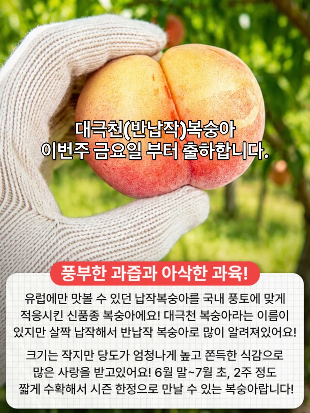 시매쓰 상위권 960 시리즈 6