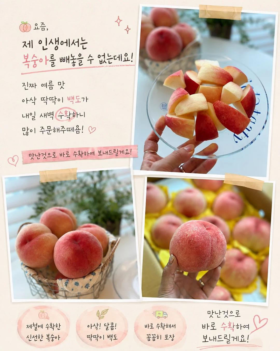 헬로키티 티셔츠 15