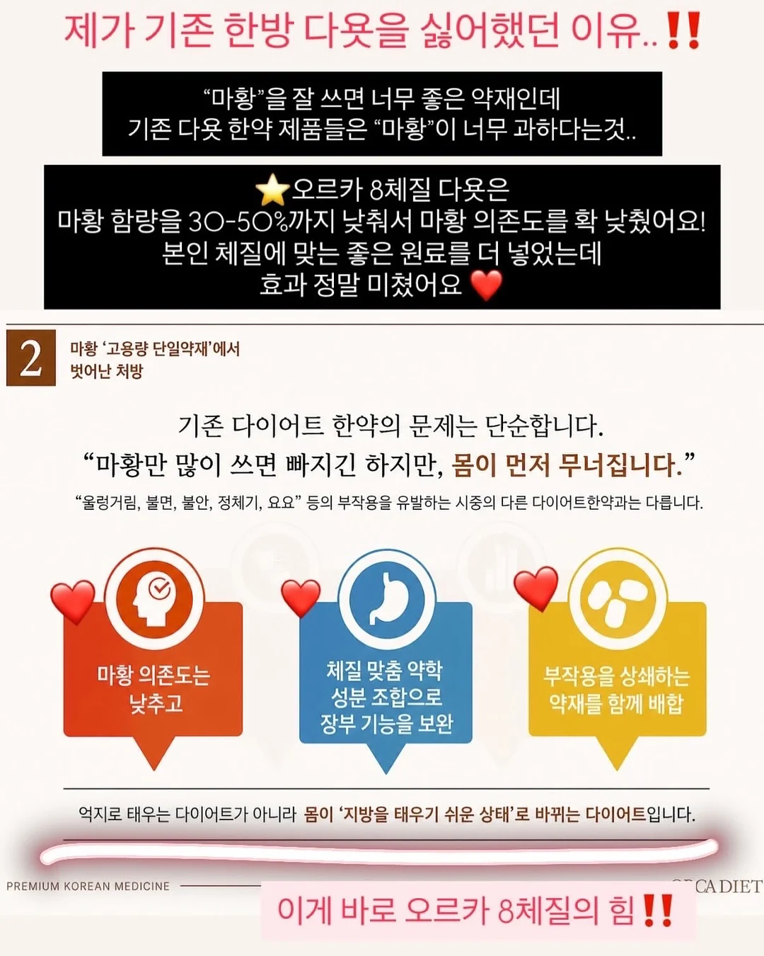 스팽글 별이와 튀김 16