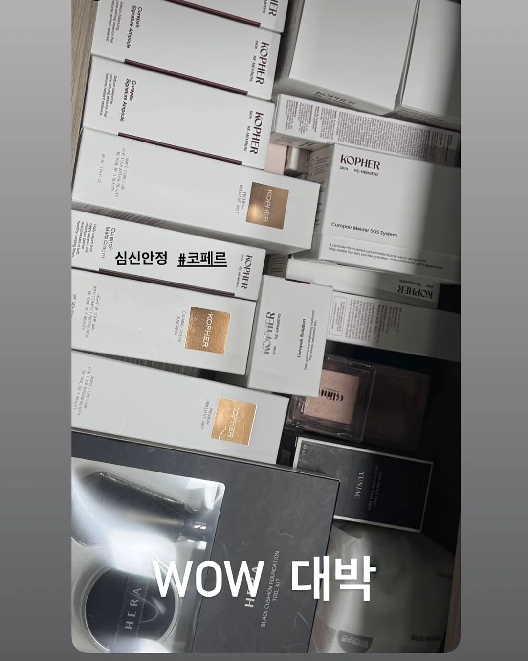 플레이시푸 택토 닥터 18