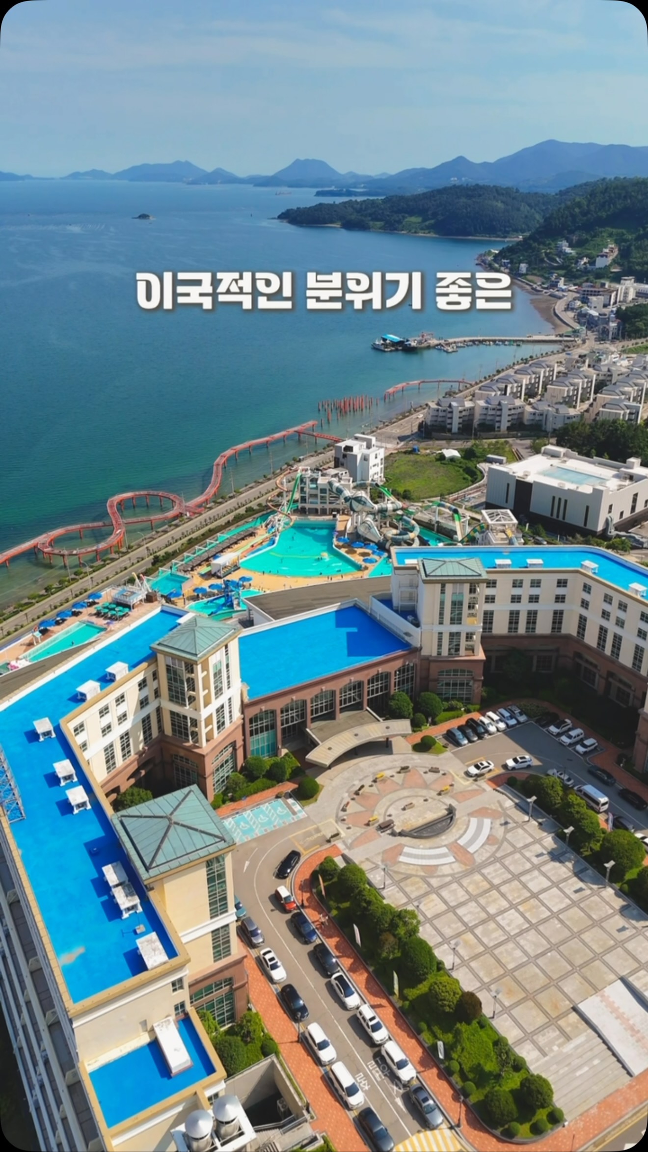 젤리버킨
