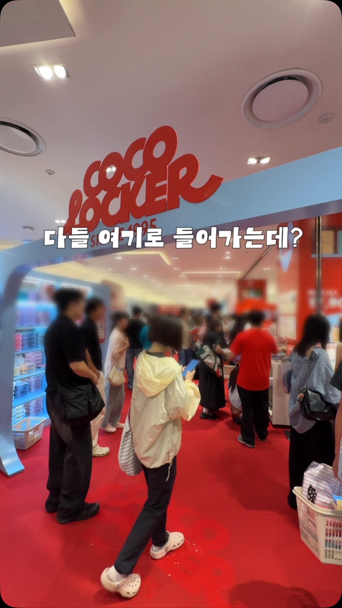 타임리스 칼리아 28인치 캐리어