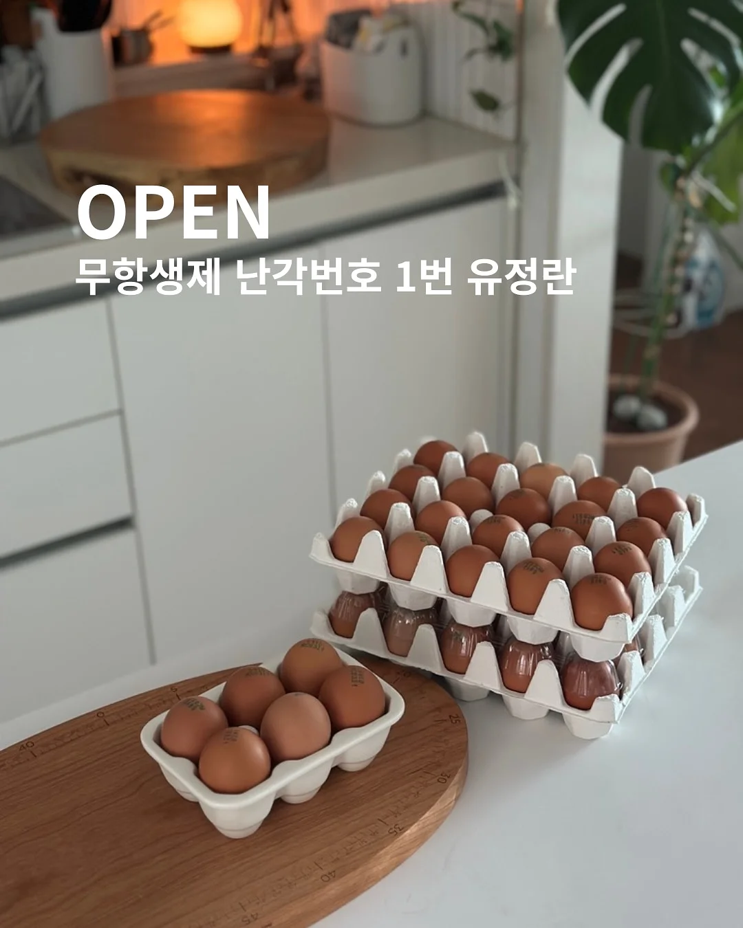 남성용 케어패드 1