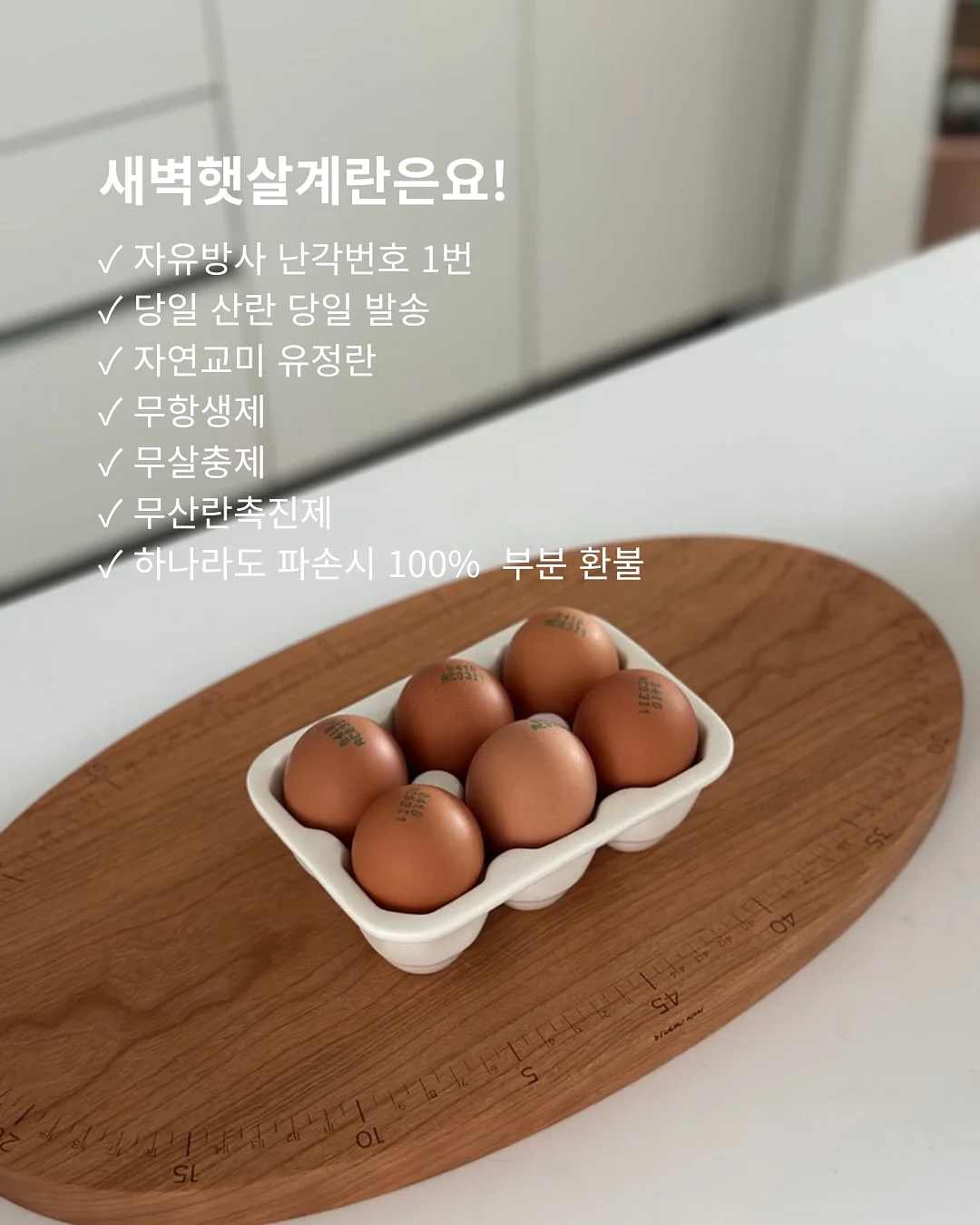 남성용 케어패드 2
