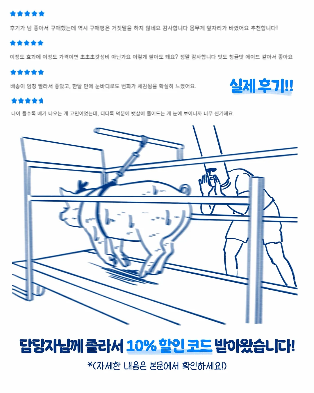 프렘 플레온 무쇠접시 12