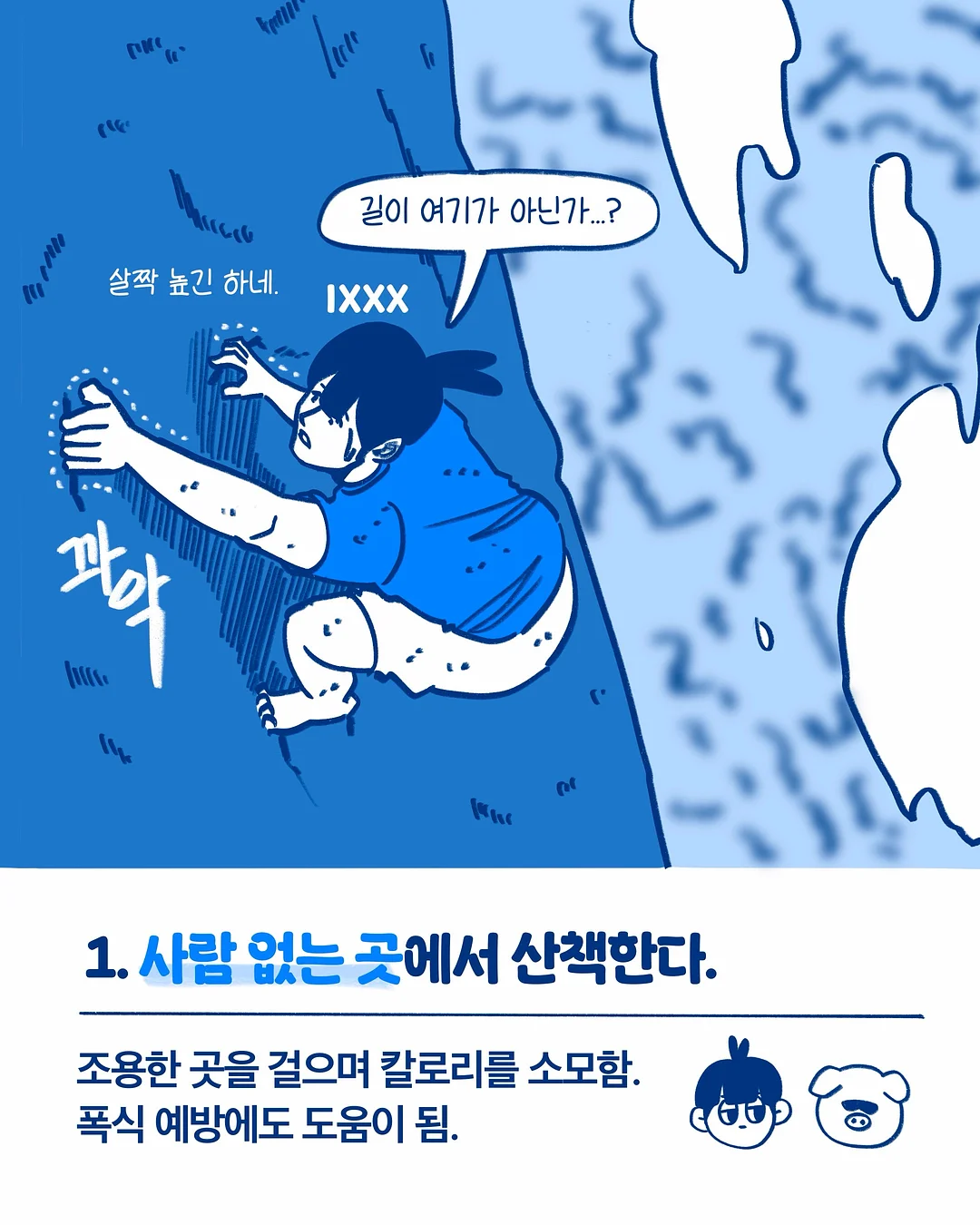 프렘 플레온 무쇠접시 2