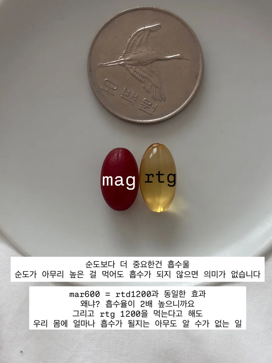 골드 호접란케이크 7