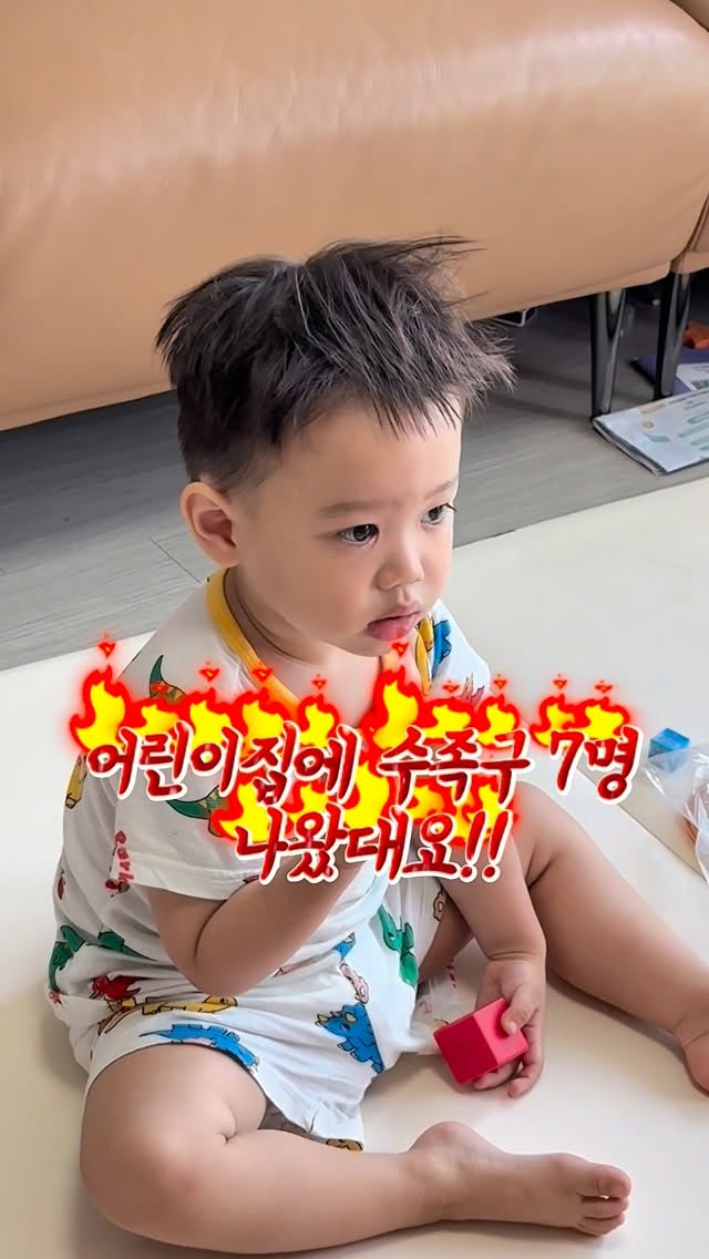 황치즈쫀득초코칩 쿠키