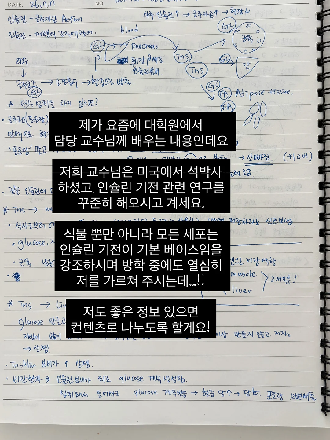 애사비 구미 15