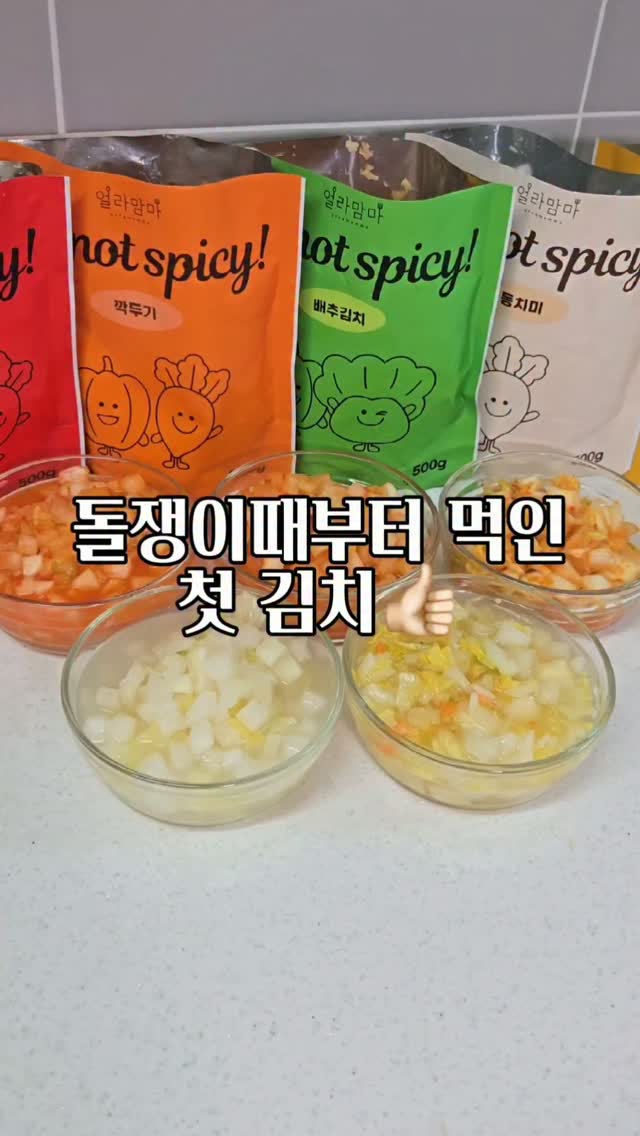 다이슨 슈퍼소닉 트래블 헤어드라이어