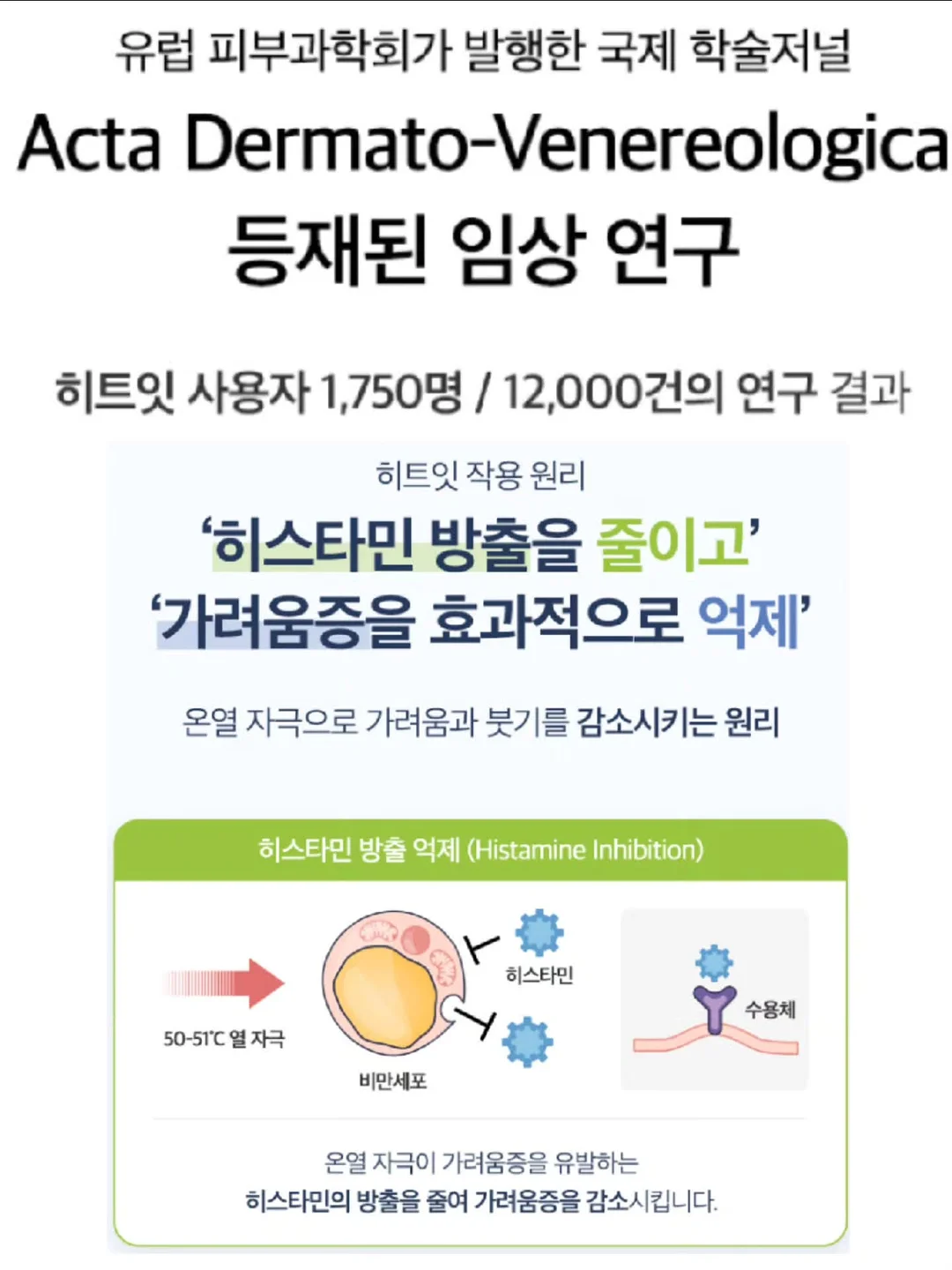 두두앤도도 여름 여행복 9