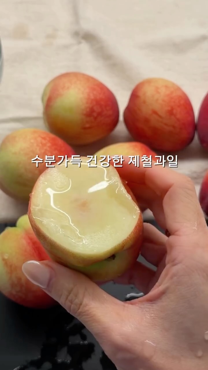 사뿐 여름 컬렉션