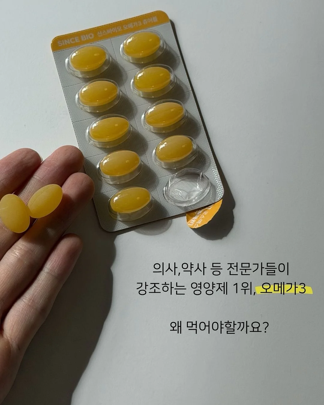 냉동 고기 빠른 해동 도구 2