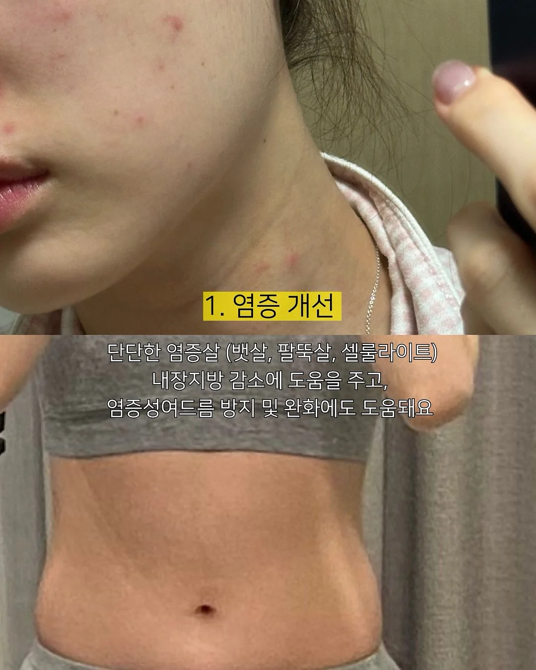 냉동 고기 빠른 해동 도구 3