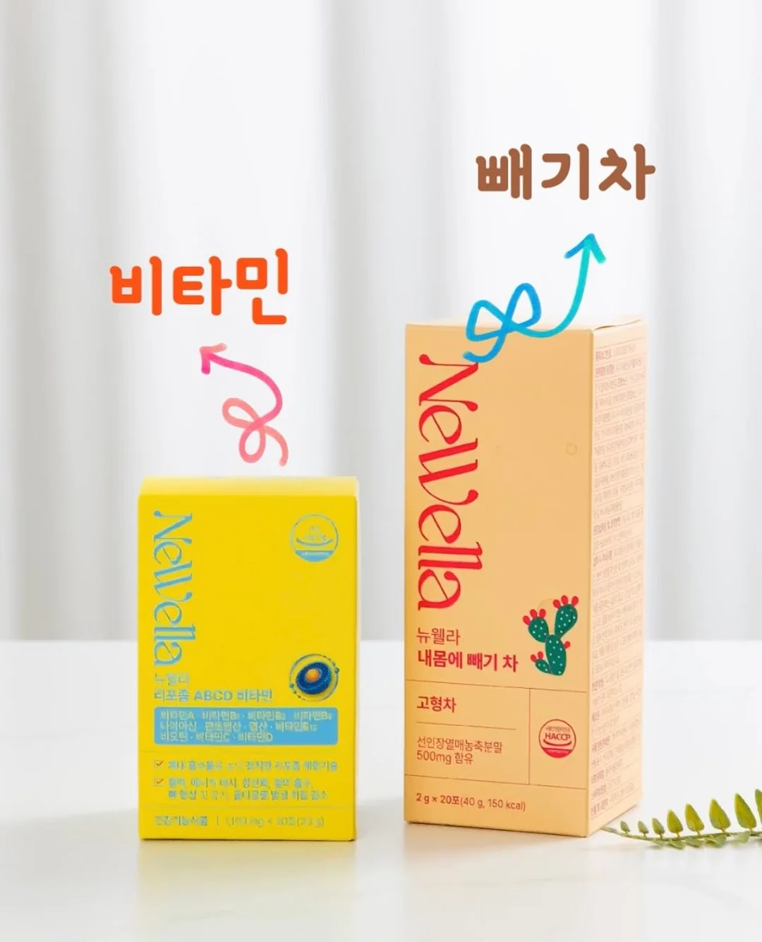 티크 컬러 2
